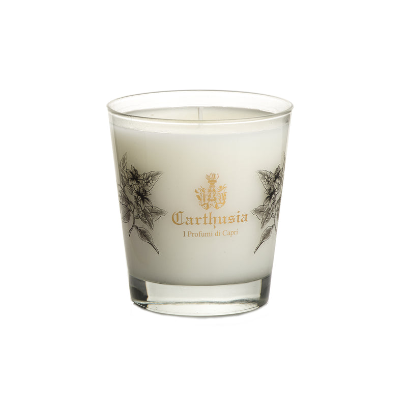 CANDLE INFINITY OUD 260g