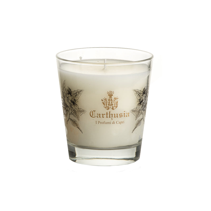 CANDLE MEDITERRANEAN OUD 260g