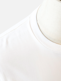 「THORN （ソーン）」SUVIN BASIC T-SHIRT WHITE
