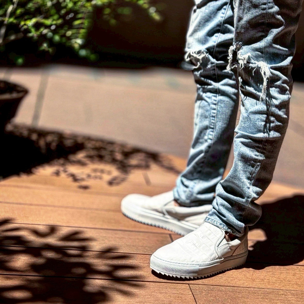 alfredoBANNISTER – THE BAR