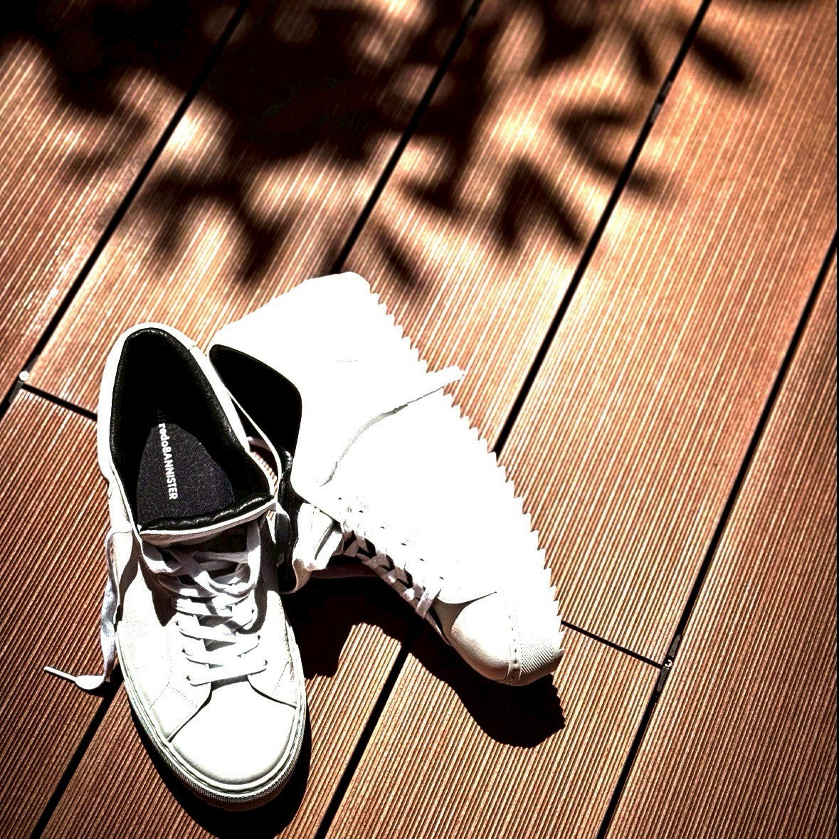 alfredoBANNISTER – THE BAR