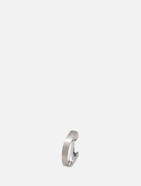 Ring07
